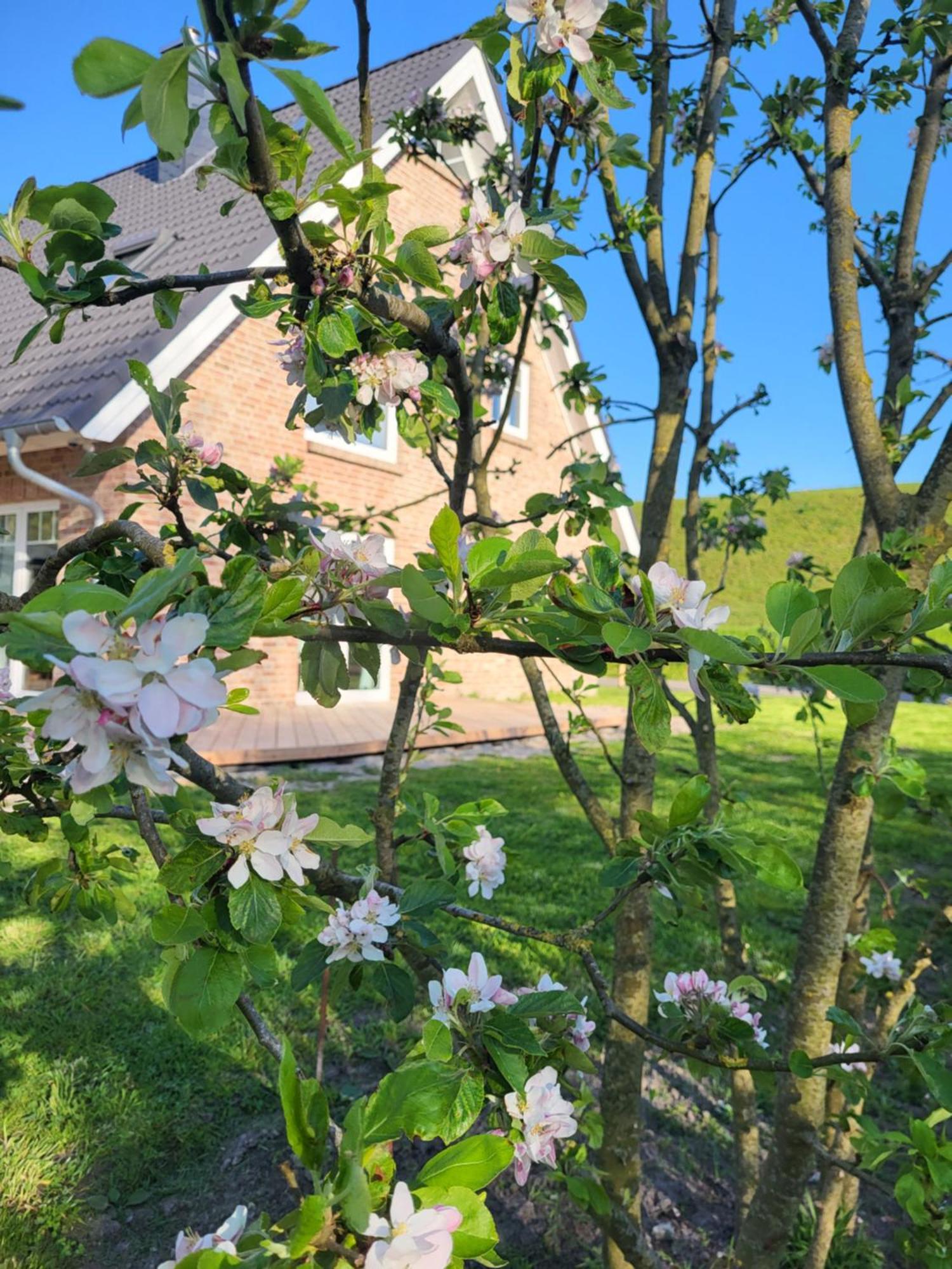 Apartmán Friesenperle Tönning Exteriér fotografie